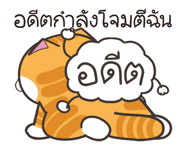 ลายที่ 43