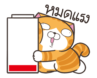 ลายที่ 47