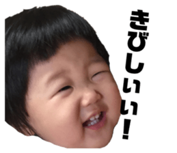 77559252