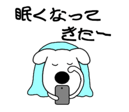 77560536