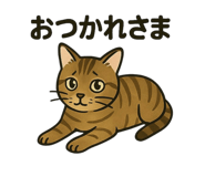 775790669