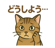 775790677
