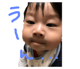 77592340