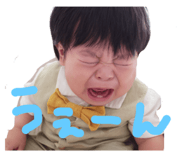 77592343