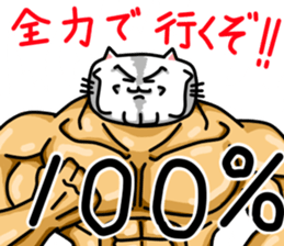 77602285