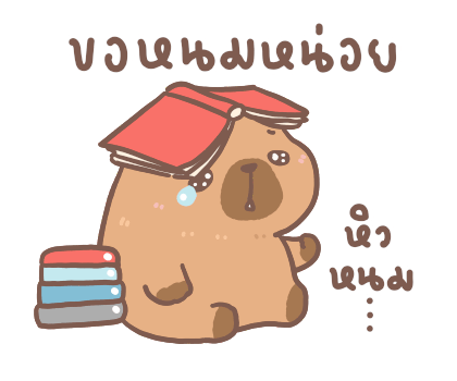 คาปิขอ : ขอให้เป็นวันที่ดี รูปที่ 2