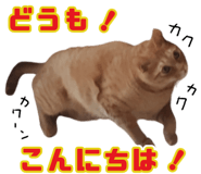 776113380