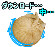 776113390
