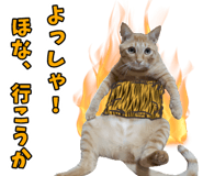 776113401