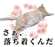 776113408