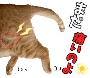 776113409