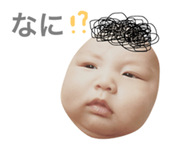77627524