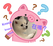776324881