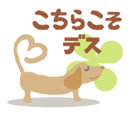 7763447