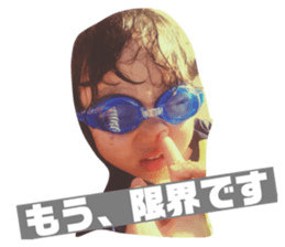 77634571