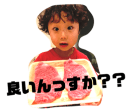 77634575