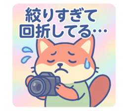 776375596