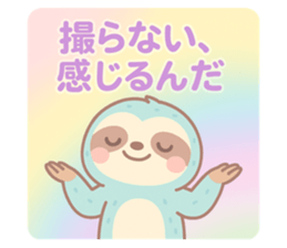776375599