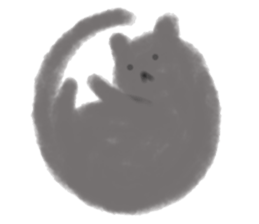 7764157