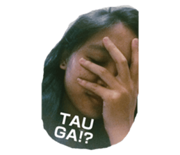 77650914