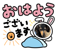 776555028