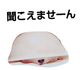 77658747