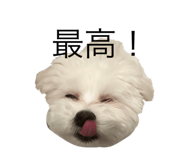 776594368