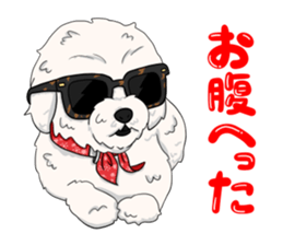 7767714