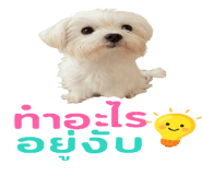 776871858