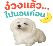 776871860