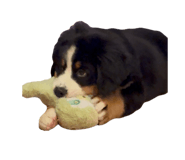 776877291