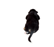 776877296