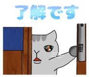 776980862