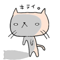 776995851
