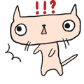 776995855