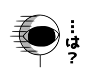 77703644