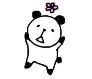 77704843