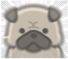 777068209