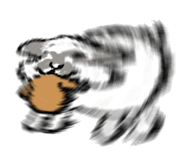 777101198