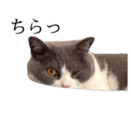777159515