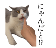 777159524