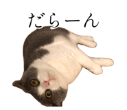 777159527