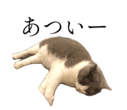 777159528