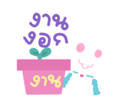 777174678
