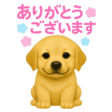 777326370