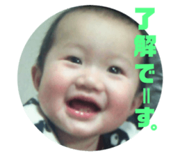 77747616