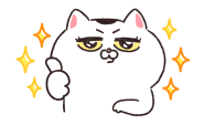 777556704