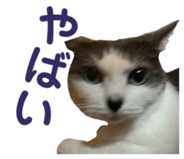 777645868