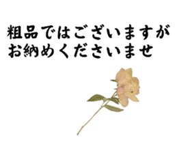 777833993