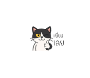 777874417